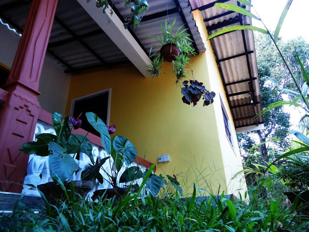Sigiri Sithru Home Stay Sigiriya Exterior foto